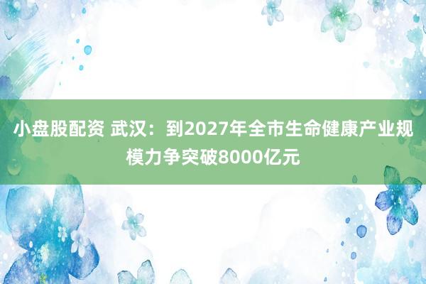 小盘股配资 武汉：到2027年全市生命健康产业规模力争突破8000亿元