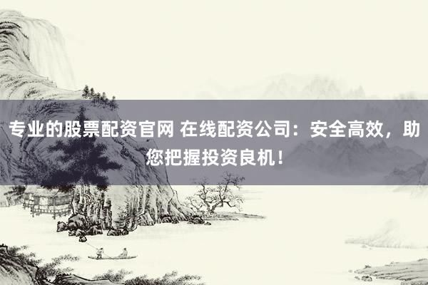 专业的股票配资官网 在线配资公司:安全高效,助您把握投资良机!
