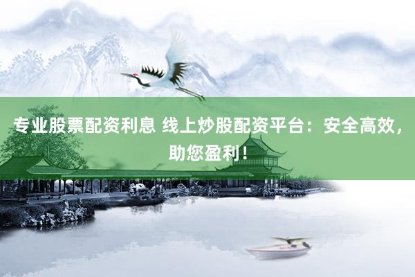 专业股票配资利息 线上炒股配资平台:安全高效,助您盈利!