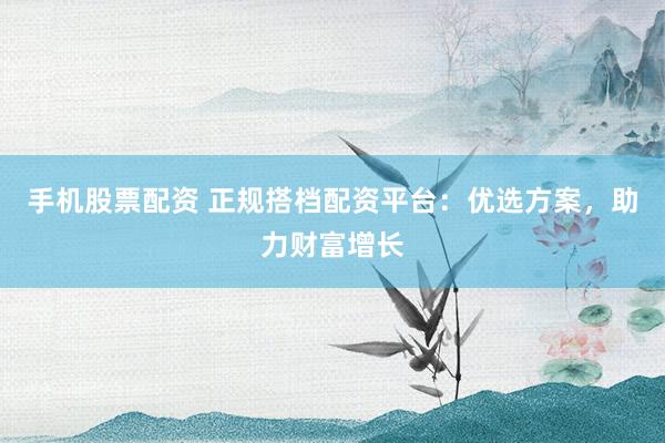 手机股票配资 正规搭档配资平台：优选方案，助力财富增长