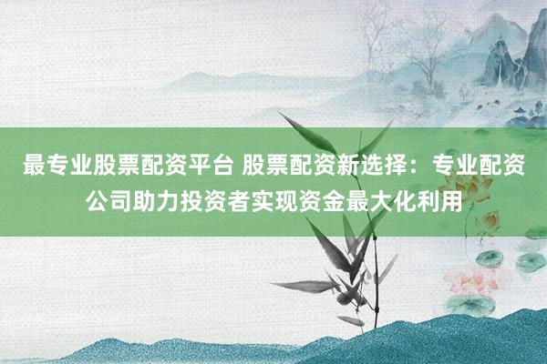 最专业股票配资平台 股票配资新选择：专业配资公司助力投资者实现资金最大化利用