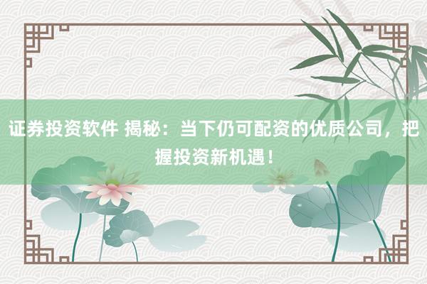 证券投资软件 揭秘:当下仍可配资的优质公司,把握投资新机遇!