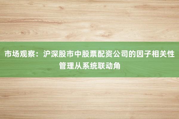 市场观察：沪深股市中股票配资公司的因子相关性管理从系统联动角