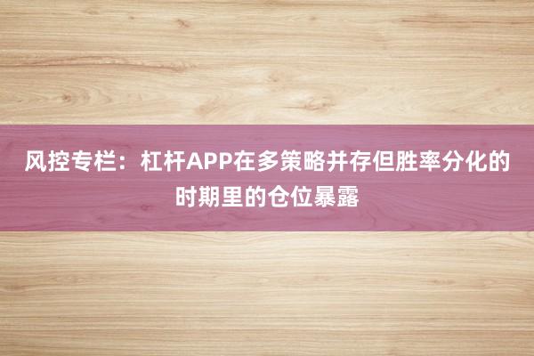 风控专栏：杠杆APP在多策略并存但胜率分化的时期里的仓位暴露