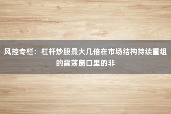 风控专栏:杠杆炒股最大几倍在市场结构持续重组的震荡窗口里的非