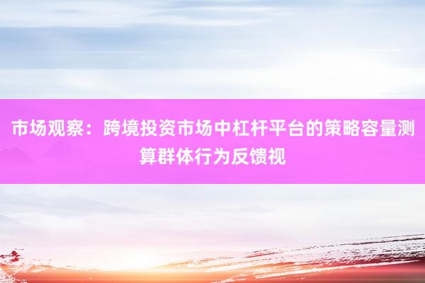 市场观察：跨境投资市场中杠杆平台的策略容量测算群体行为反馈视