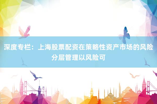 深度专栏：上海股票配资在策略性资产市场的风险分层管理以风险可