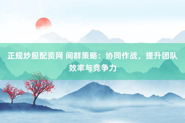 正规炒股配资网 间群策略:协同作战,提升团队效率与竞争力