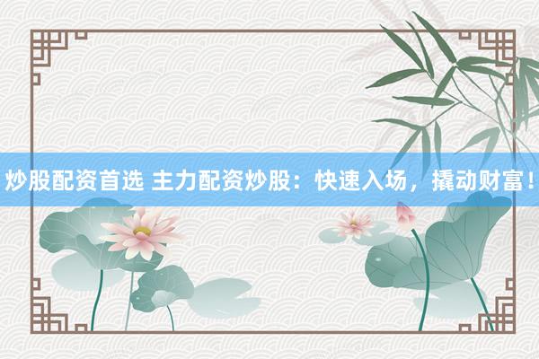 炒股配资首选 主力配资炒股：快速入场，撬动财富！